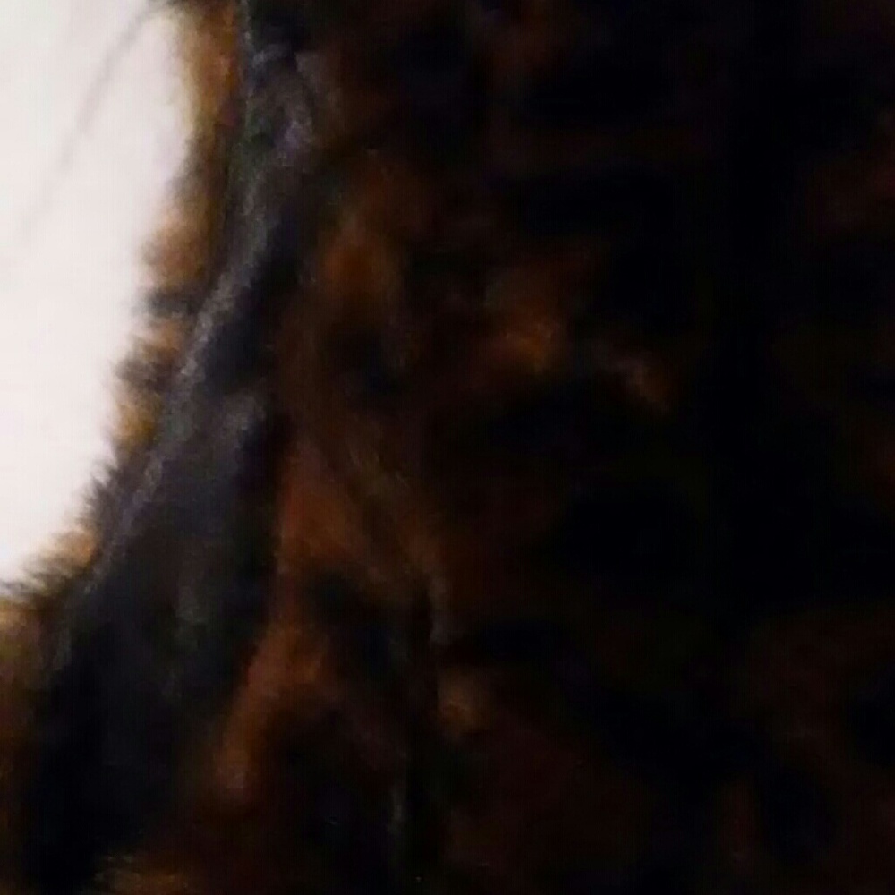 Vest - Picture 2 of 3